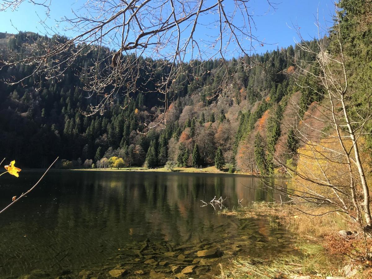 Feldberg Lounge - Residenz Grafenmatt Lejlighed Eksteriør billede